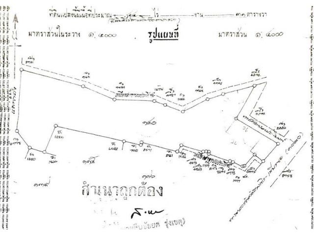ขายที่ดินติดแม่น้ำ 44 ไร่ วิวธรรมชาติสุดอลังการ – อ.เชียงของ จ.เชียงราย