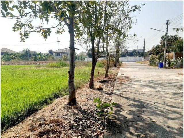 ขายที่ดินแปลงสวย ทำเลดี ติดถนนคอนกรีต เขตสัมปทวน อ.นครชัยศรี ใกล้ทางด่วนบางใหญ่-กาญจบุรี เนื้อที่ 87 ตรว. เหมาะปลูกบ้าน