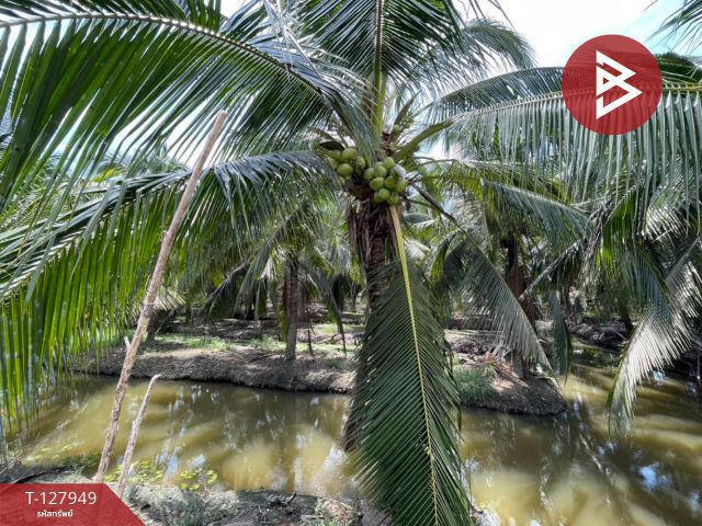 ขายที่ดินสวนมะพร้าวพร้อมบ้าน เนื้อที่33 ไร่ 1 งาน 20 ตร.วา อ.นครชัยศรี นครปฐม