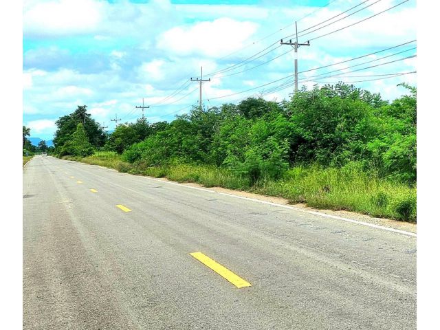 ขายที่ดินโฉนด61ไร่หน้ากว้างติดถนนลาดยาง กจ4035 กว้าง200เมตร ต.หนองประดู่ อ.เลาขวัญ จ.กาญจนบุรี