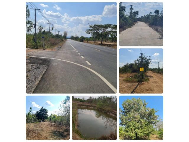 ขายที่ดิน4ไร่3งานราคาถูกท่ายางน้ำไฟพร้อมใกล้ถนนหลวง