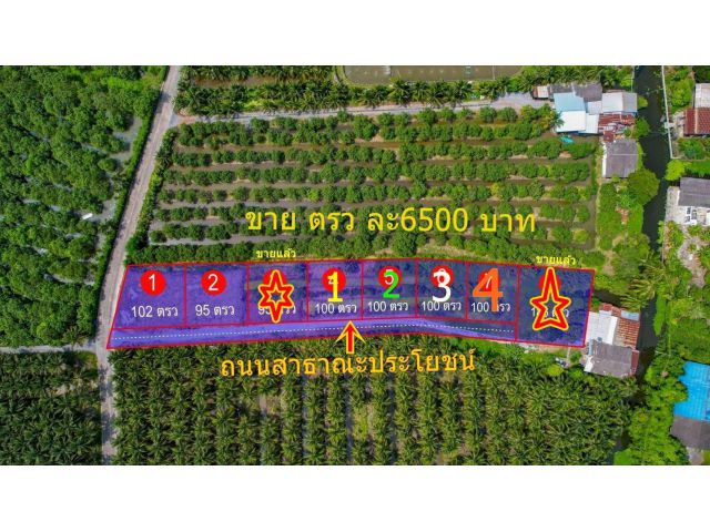 ขายที่ดิน100ตรว.โฉนดครุฑแดง พร้อมโอนทุกแปลง (เจ้าของขายเอง)