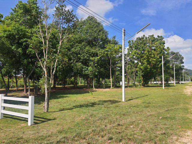 ขายที่ดินทำเลดี 3 ไร่ นาจอมเทียน เขาชีจรรย์