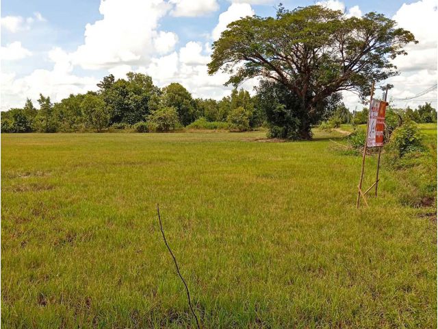 ขายด่วน!! ที่ดินสวยทำเลในตัวเมืองศรีสะเกษ 5 ไร่