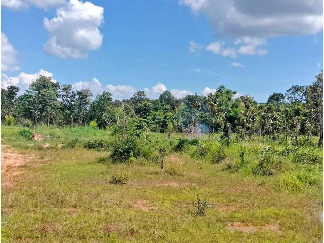 ขายที่ดินอุบลฯ 5 ไร่ ที่ดินสวย ทำเลดี!!