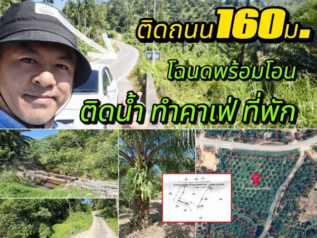 ที่โฉนดสวนปาล์ม170ต้น ติดน้ำ ติดถนนหน้ากว้าง160ม.  ทำคาเฟ่ ,ทำรีสอร์ต บรรยากาศดีมาก สงบ หาไม่ได้แล้ว 061-3759958 สุธีมนต