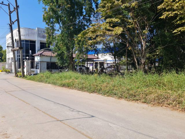 ด่วน! ขายที่ดิน ราคา ถูก คลองหลวง คลองสาม ติดโรงงาน Taiyo ใกล้สนามบอล