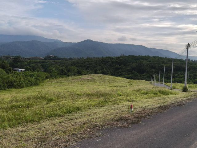 ขายที่บนเนินเขาใหญ่ โป่งตาลอง ปากช่อง ที่สูงบนเนิน 3.5 ไร่ วิวเขาใหญ่สวย ชัดมาก อากาศบริสุทธิ์ดีมาก ลมดีเย็นสบาย เดินทาง