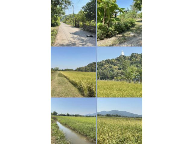 ที่ดินติดถนน วิวเขาพระ