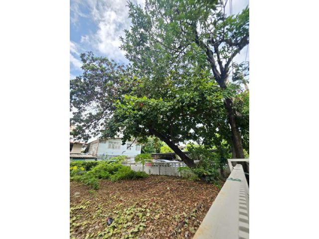 BTS เซนต์หลุยส์ 90 ซ.นราธิวาส 60ตร.วา. ที่ดินถมแล้ว รร.อัสสัมชัญ