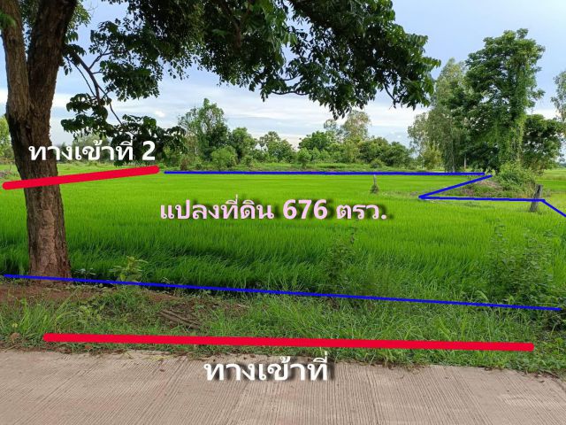 L1112 ขายที่ดินสวยทำเลดี 676 ตรว วังทอง พิษณุโลก