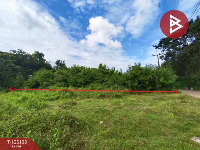 ขายที่ดิน เนื้อที่ 3 งาน 97.6 ตร.วา มีชัย หนองคาย