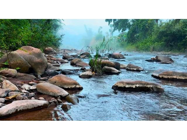 ขายที่ดินติดน้ำมาง บ่อเกลือ