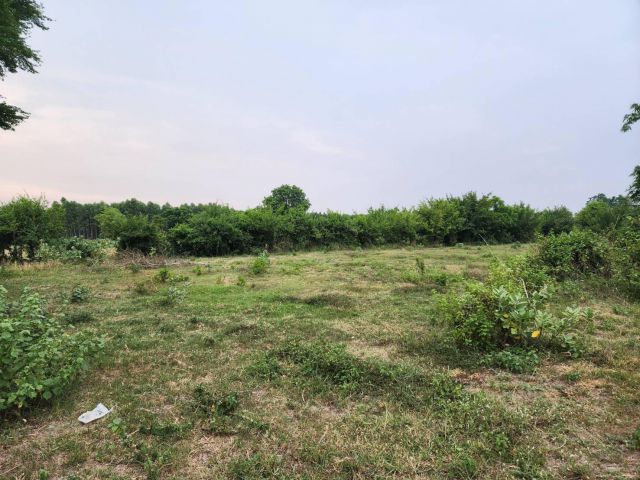 L1113 ขายที่ดินใกล้ถนน.349  13 ไร่ บ้านบึง ชลบุรี