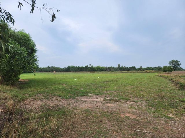 L1114 ขายที่ดิน 11 ไร่ ประจันตคาม ปราจีนบุรี