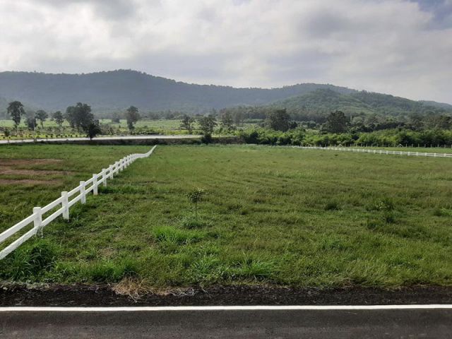 ที่ดินแบ่งแปลง 4 ไร่เศษ และ 5 ไร่เศษ วิวภูเขาสวยๆ ต.ขนงพระ เอกสารสิทธิ์โฉนด