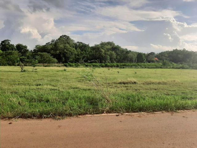 ขายที่ดินโฉนด 2 แปลง ต.วังไทร บ้านภูเงิน เนื้อที่ 6 ไร่เศษ และ 4 ไร่