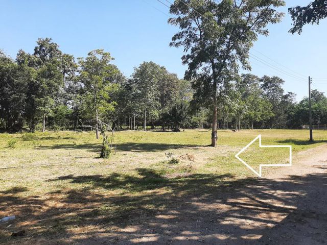 ขายที่ดินเนื้อที่ 1 ไร่ โฉนด ต.หนองสาหร่าย โซนปั๊มptt