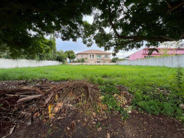 ขายที่ดินเปล่าถมแล้ว หมู่บ้านกรีนวัลเล่ย์ บางนา-ตราด กม.15 แปลงสวย ทำเลดี พร้อมสร้างบ้าน