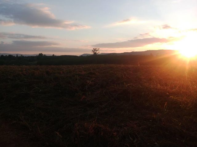 ที่สวยวิวเขาภูเรือเห็นพระอาทิตย์ตกดิน โฉนด 12 ไร่ๆละ 260,000 มาก่อนคว้าก่อนเลยนะ