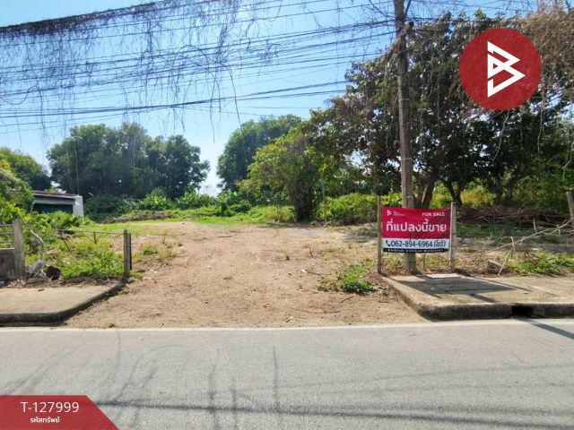 ขายที่ดิน เนื้อที่ 1 งาน 80.7 ตร.วา พลับพลา จันทบุรี