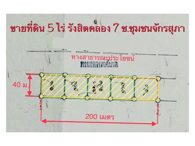 ขายที่ดิน 5 ไร่ รังสิตคลอง7 ซ.จักรสุภา ปทุมธานี แบ่งขายได้