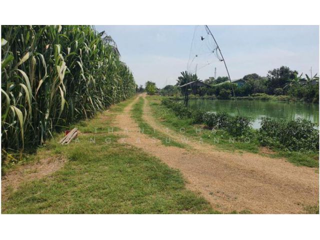 ที่ดินทับยาว ลาดกระบัง