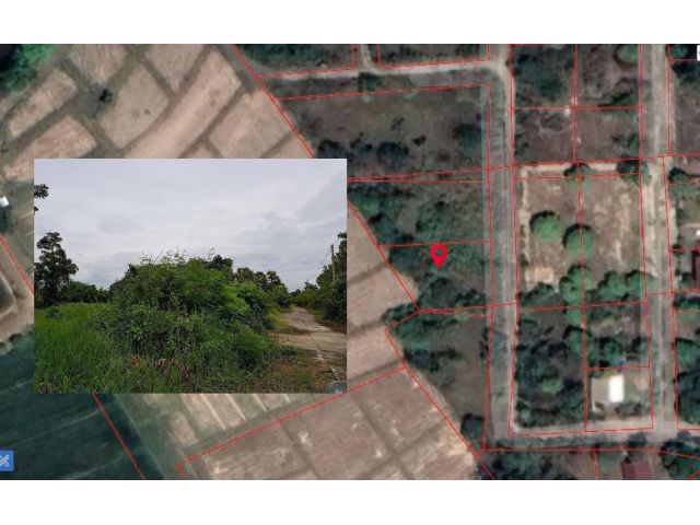 ขายที่ดิน 1 งาน 41 ตรว. ขายตามราคาประเมิน รวม 2 แปลง