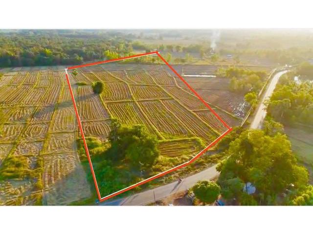 ขายที่ดินติดทางหลวงสวยๆ ตำบลบ้านเดื่อ อ.ท่าบ่อ จ.หนองคาย