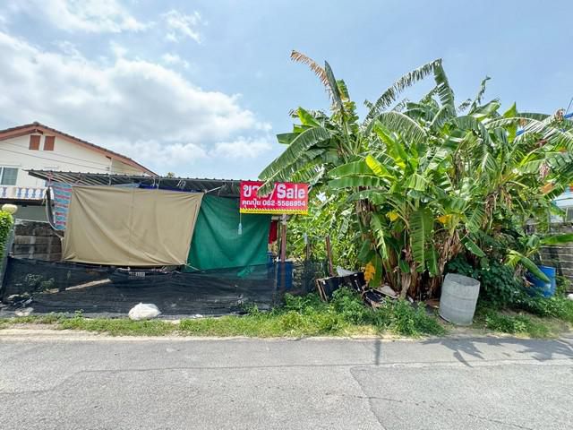 ขายที่ดินพุทธมณฑลสาย 2ทำเลชุมชน เหมาะสร้างบ้านพักอาศัย