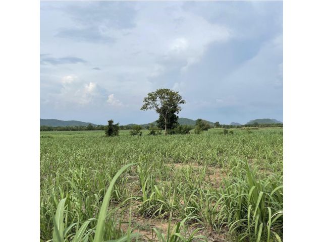 L1120 ขายที่ดิน 11 ไร่ เมืองราชบุรี