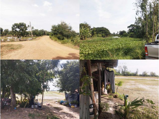 ขายที่ดิน 4ไร่ สุพรรณบุรี ติดคลองน้ำ มีน้ำมีไฟ เหมาะปลูกบ้าน ทำเกษตร