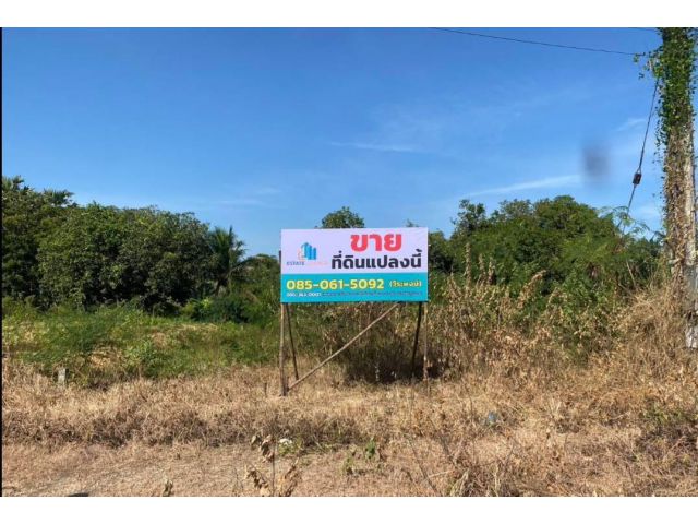 โอกาสทองติดถนน! ที่ดินปราณบุรีทำเลธุรกิจสุดปัง! ตรงข้าม 7-Eleven ลุ่มโพธิ์!