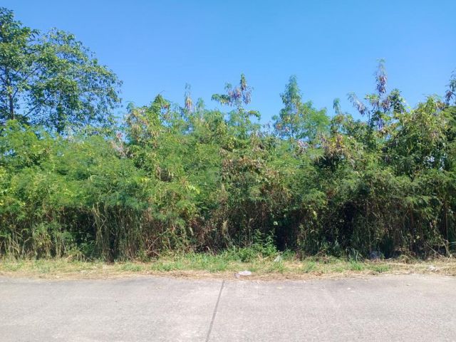 !!!ที่ดินทำเลตัวเมืองจันทบุรี ติดคลองน้ำใส!!! เสนอขายที่ดินแปลงเปล่า เนื้อที่ 2 ไร่ 3 งาน 61 ตรว.