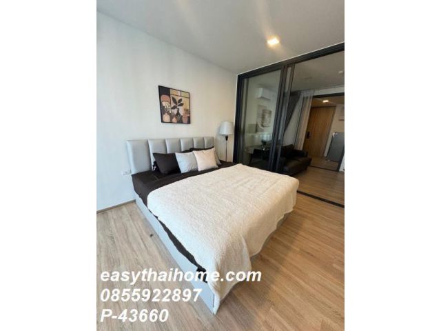P-43660 ให้เช่า คอนโด เอ็กซ์ที พญาไท ถนนศรีอยุธยา แขวงถนนพญาไท เขตราชเทวี กรุงเทพมหานคร พร้อมอยู่ ราคาถูก Line Id: @easy