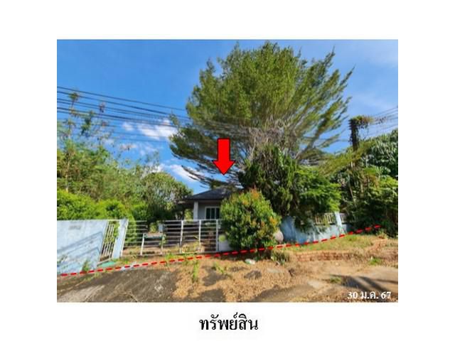 ขายบ้านเดี่ยวโครงการ ลิลลี่ วัลเลย์ ต.กระบี่ใหญ่ อ.เมือง จ.กระบี่