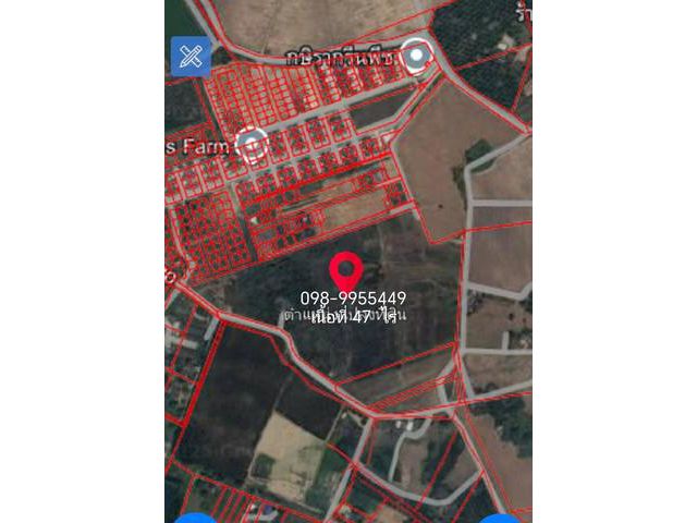 ขายที่ดินสวยพนัสชลบุรี ขายที่ดิน 47 ไร่ 40 ตารางวา