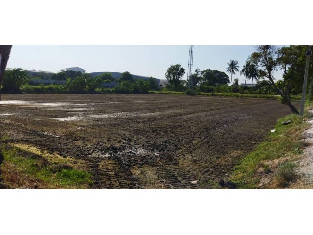 ขายที่ดิน4 ไร่ 1 งาน อยู่สาย5