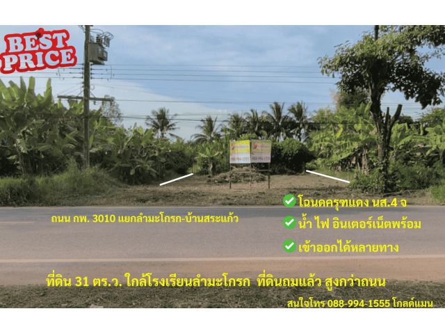 ขายที่ดิน บ้านลำมะโกรก ขนาดที่ดิน 31 ตรว.