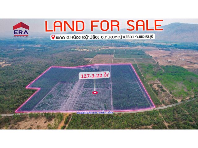 ขายที่ดินเปล่าแปลงใหญ่ พื้นที่รวม 127-3-22 ไร่ ตำบลท่าตะคร้อ อำเภอหนองหญ้าปล้อง จังหวัดเพชรบุรี