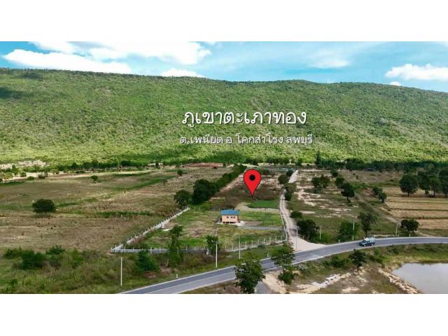 ขายที่2ไร่