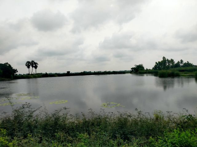 ขายบ่อดินเก่า+บ้านพัก+โรงจอดรถ30ไร่ ไร่ละ150000-อ.กำแพงแสน จ.นครปฐม.เหมาะทำบ่อตกปลา/ร้านอาหาร/รีสอท.ใก้ลถนน321/3231/ม.เกษตรฯ