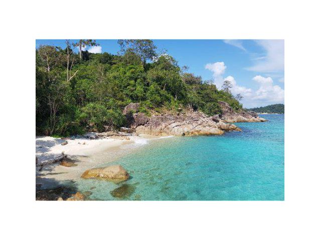 ขายที่ดิน 16 ไร่ บนเกาะหลีเป๊ะ ติดชายทะเล ต.เกาะตะรุเตา อ.เมืองสตูล จ.สตูล