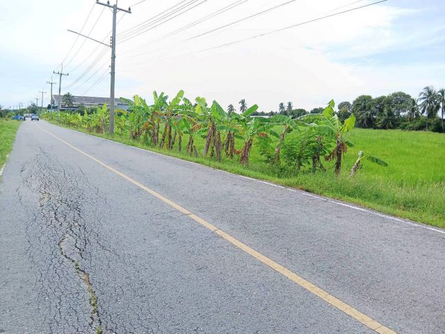 ขายที่ดินนครชัยศรี แปลงสวย ทำลดีติดถนนลาดยาง ใกล้จุดขึ้นลง ทางด่วนบางใหญ่-ทวาย(M81) เนื้อที่ 2 ไร่ เหมาะปลูกบ้าน ทำธุรกิจ