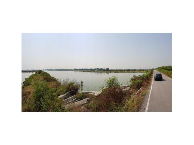 ขายที่ดิน 13 ไร่ ประชาอุทิศ 90 ต.บ้านคลองสวน อ.พระสมุทรเจดีย์ จ.สมุทรปราการ