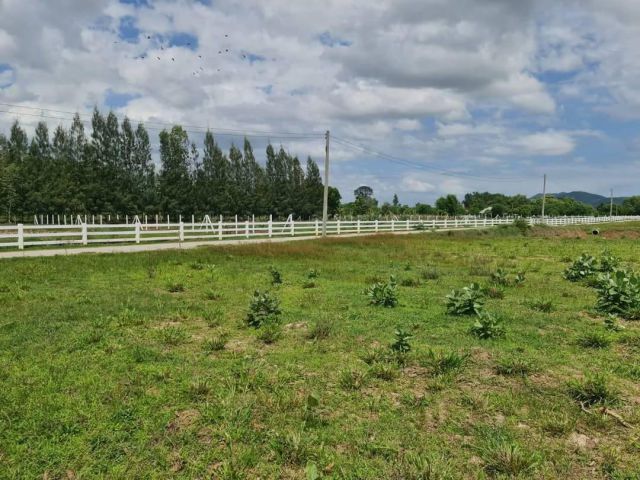 ที่ดินเนื้อที่ 2ไร่ บรรยากาศดี พร้อมบ่อน้ำ 1บ่อ