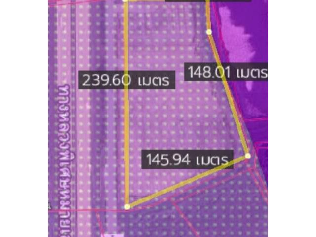 ขายและให้เช่าที่ดินผังม่วงบ่านเก่าพานทองชลบุรี  21-5-93 ไร่