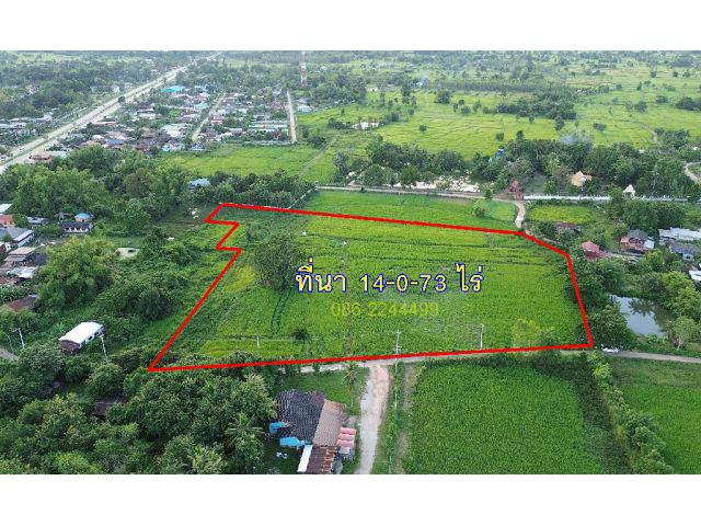 ที่นาแปลงสวยใกล้ถนนใหญ่