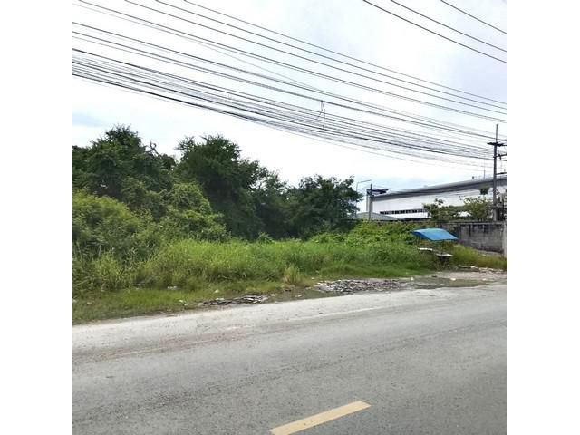 ขายและให้เช่าที่ดินผังม่วงบ่านเก่าพานทองชลบุรี 9-2-47 ไร่