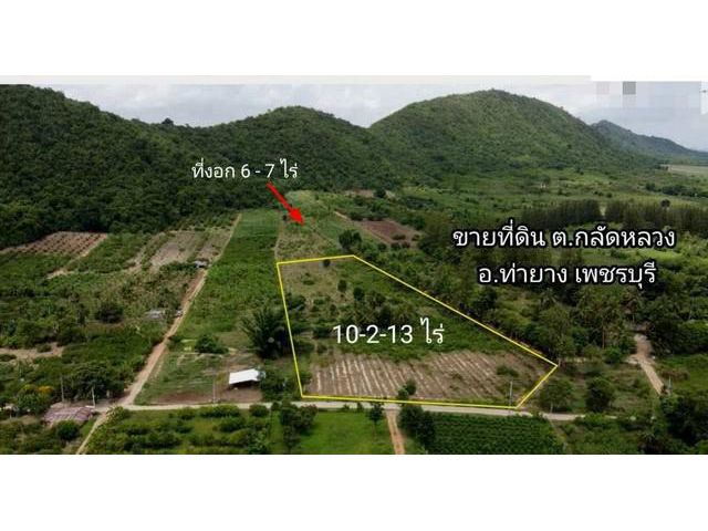 ขายที่ดินขนาด 10ไร่ 213ตรว กลัดหลวง ท่ายาง เพชรบุรี